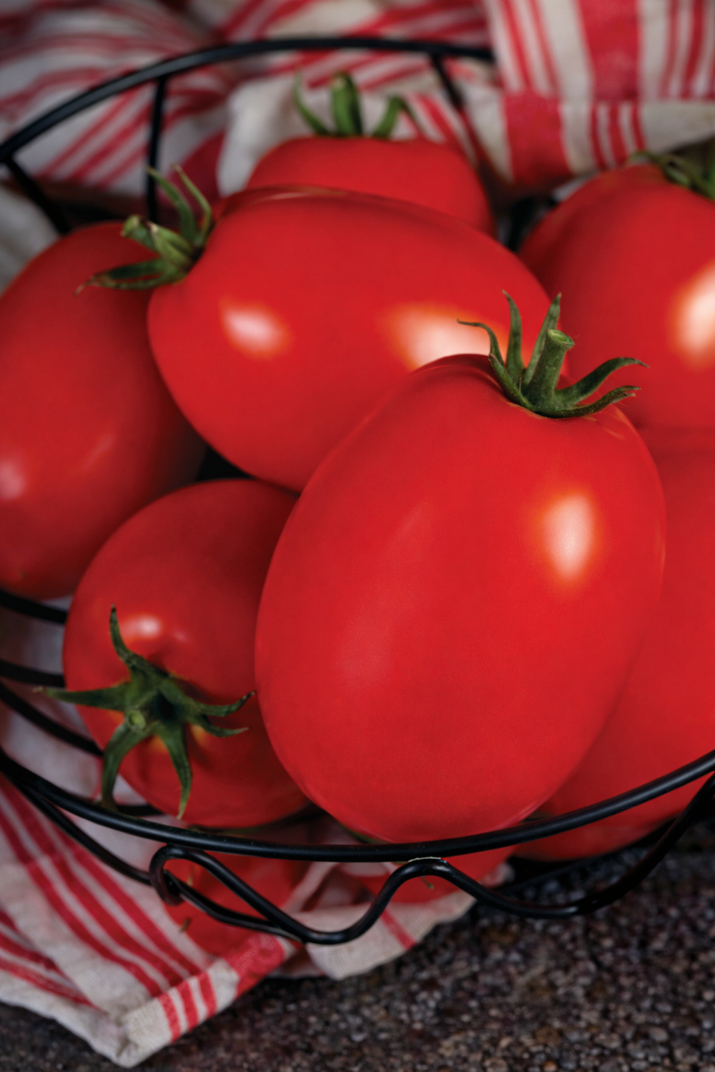 Hybrid Tomato YASH-1011
